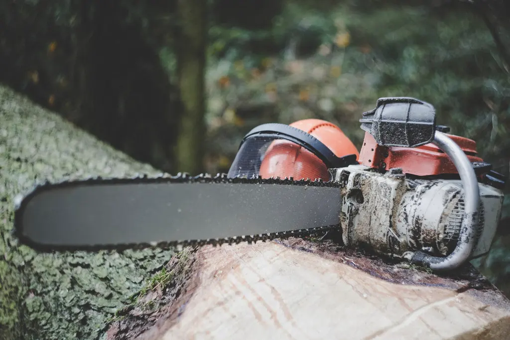 Tronçonneuse posée sur une grume, casque forestier en arrière-plan